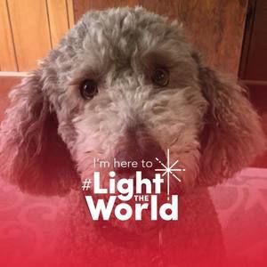 Meet your Posher, Mary